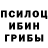 Галлюциногенные грибы Cubensis Philemon Brandli
