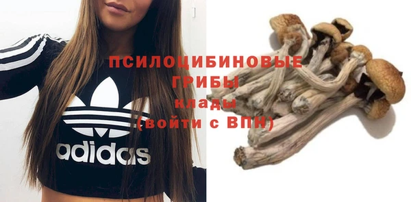 марихуана Новокубанск