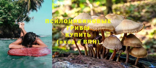 мет Армянск
