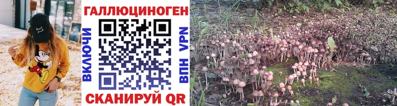 Псилоцибиновые грибы GOLDEN TEACHER  где продают наркотики  Богородицк 